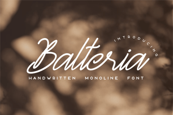 Balteria Sulbarline: A Elegant Script for Branding