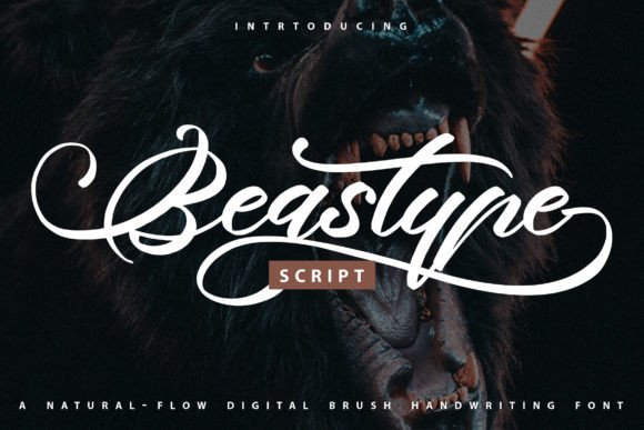 Beastype: A Modern Script Font for Designers