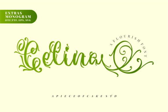 Celina Duo: A Magical Font for Web Design