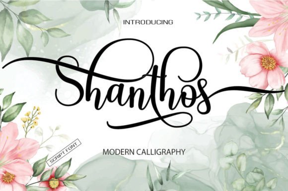 Shanthos: A Flowing Script for Creative Projects