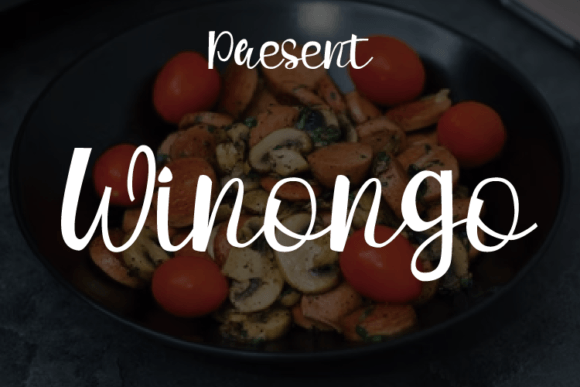 Winongo: A Font for Polished Branding
